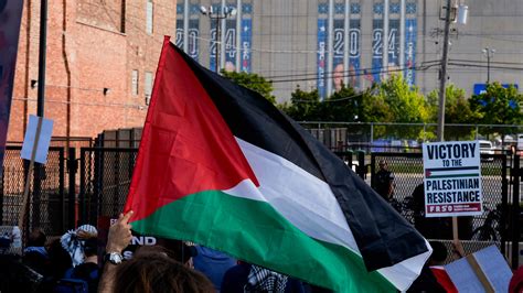 psp pro branches|DNC panelists discuss war in Gaza, Harris tries to ease tension .